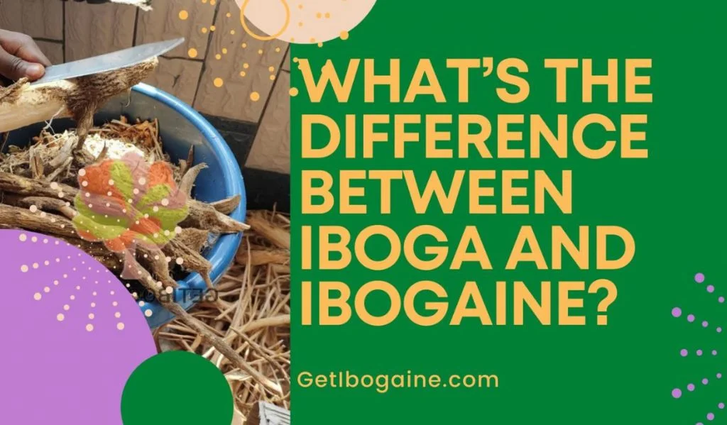 The Difference between Iboga and Ibogaine