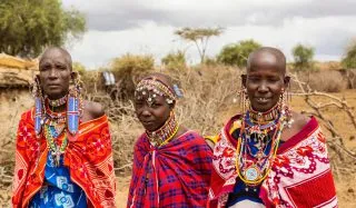 The Truth About Ibogaine Experience
