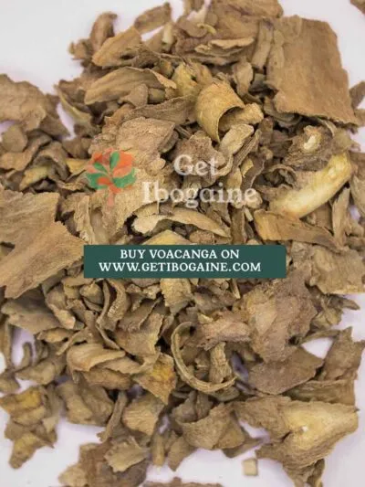 Buy Voacanga Africana Seeds