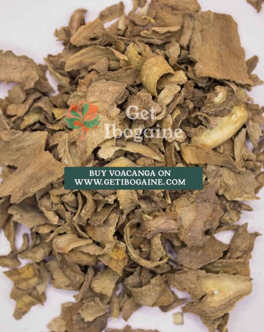 Buy Voacanga Africana Seeds