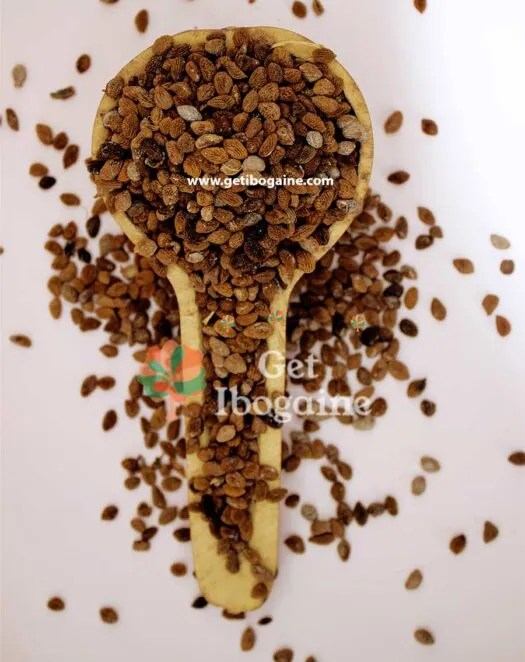 Get iboga seeds