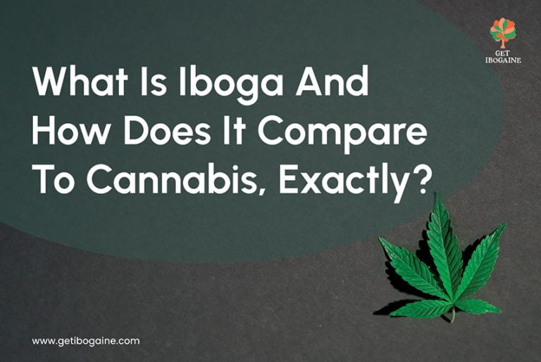 What Is Ibogaine What is ibogaine