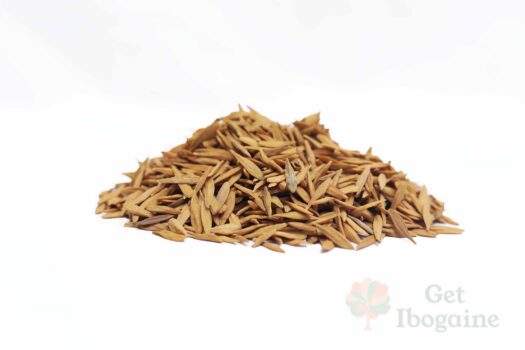 Strophanthus Gratus Seeds – Organic African Export (Bulk) - Image 2