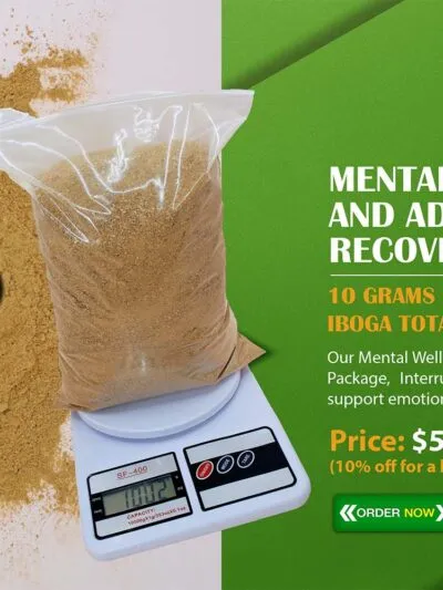 Mental Wellness and Addiction Recovery Package – Iboga TA