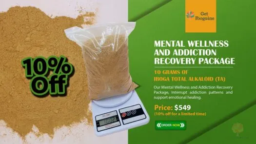 Mental Wellness and Addiction Recovery Package – Iboga TA