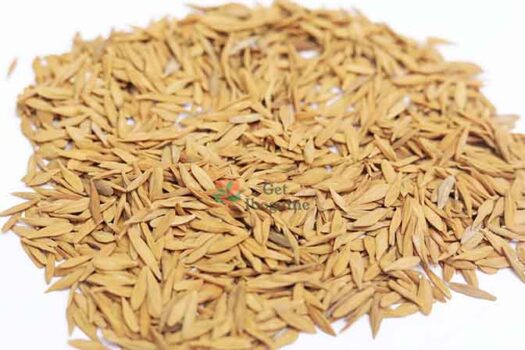 Strophanthus Gratus Seeds – Organic African Export (Bulk) - Image 4