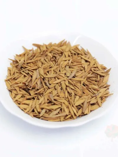 Strophanthus Gratus seeds for sale