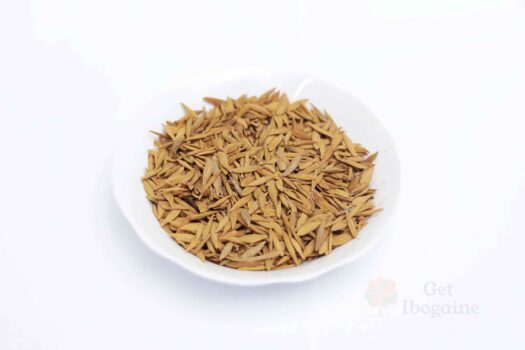 Strophanthus Gratus seeds for sale