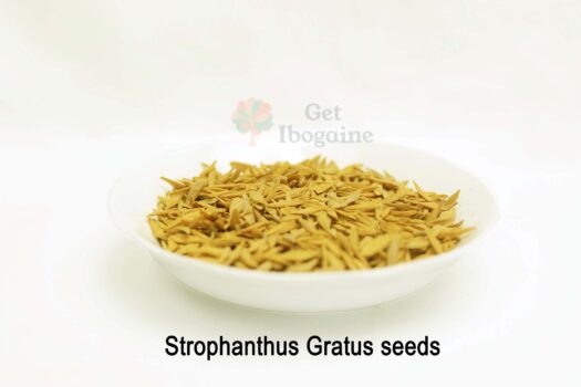 Strophanthus Gratus Seeds – Organic African Export (Bulk) - Image 5