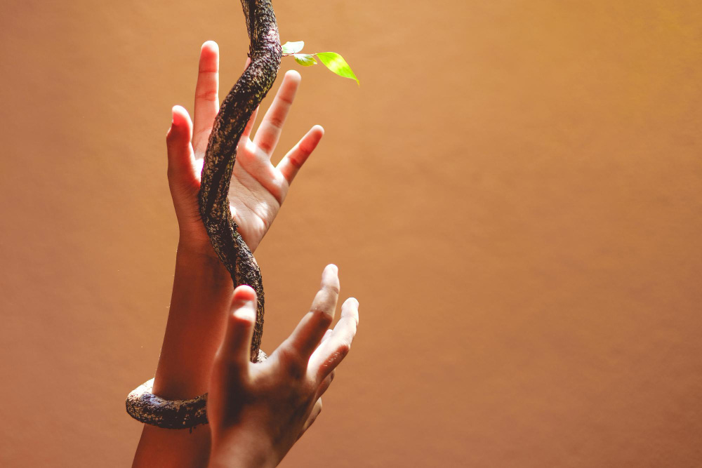 Using Iboga as a Means to Connect to One’s Authentic Self